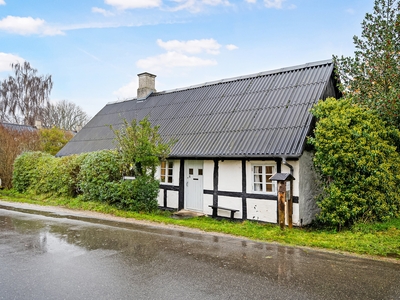 HYGGELIGT LANDSBYHUS I DJURSLANDS NATURSKØNNE OMGIVELSER