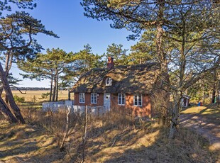 Sommerhus 6 personer Rimmevej Snderstrand 6792 Rm Rm