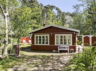 Hyggeligt sommerhus i dejlige omgivelser, kun 350 meter fra havet