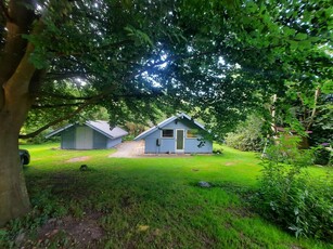 Sommerhus - 6 personer - Runedalen