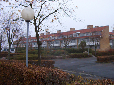 Beringsvænget