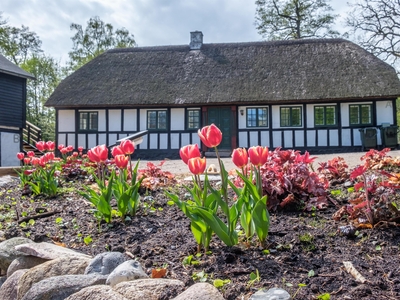 Sommerhus 10 personer Molsvej 130 A Femmller 8400 Ebeltoft