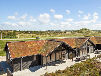 Sommerhus - 18 personer - Tranebærvej - 6854 - Henne Strand