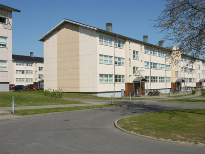 Søstjernevej