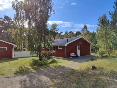 Hyggeligt sommerhus tæt på Dueodde Strand