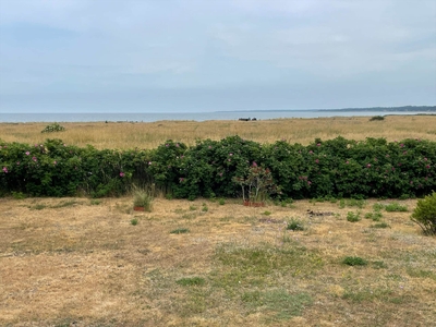 Skønt sommerhus med fantastisk udsigt til havet.