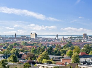 LYS OG INDBYDENDE LEJLIGHED MED UDSIGT OVER AALBORG OG LIMFJORDEN