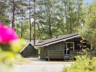 Godt sommerhus i træ. Hyggelig stue med pejs