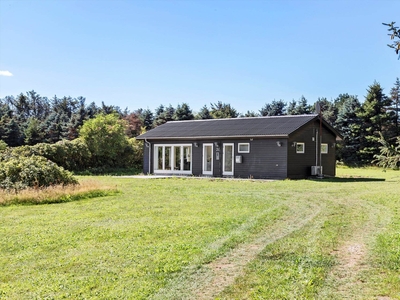 Skønt og hyggeligt sommerhus på stor grund