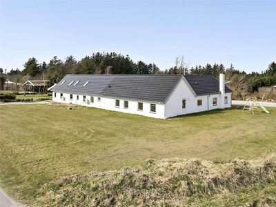 Stort og rummeligt sommerhus til en uforglemmelig familieferie eller fest t